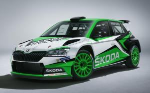 Skoda Fabia R5 Concept 2018 года